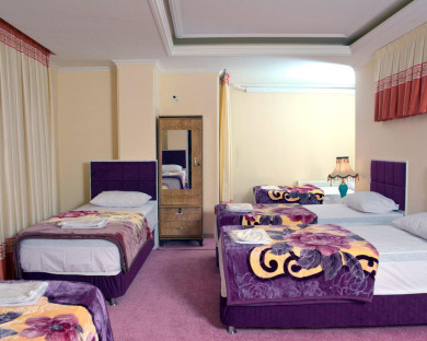 Tabriz-Saeb-24.jpg