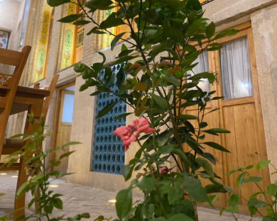 shiraz-irandokht-25.jpg