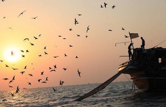 بندر عباس
